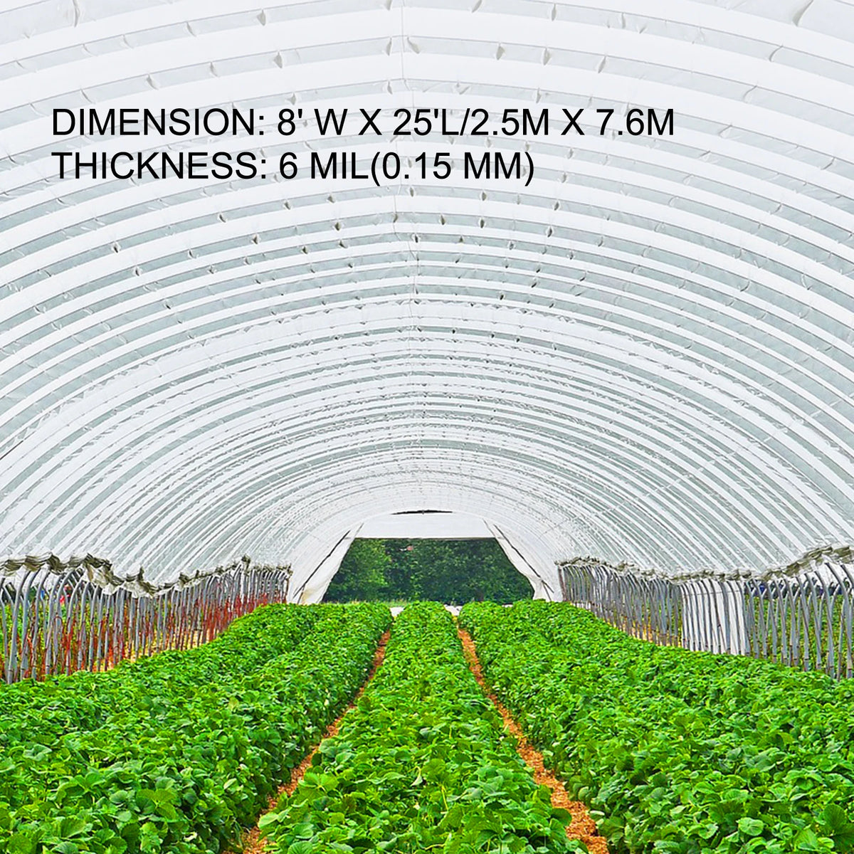 SucceBuy UV Resistant Polyethylene Greenhouse Film Plant Covering