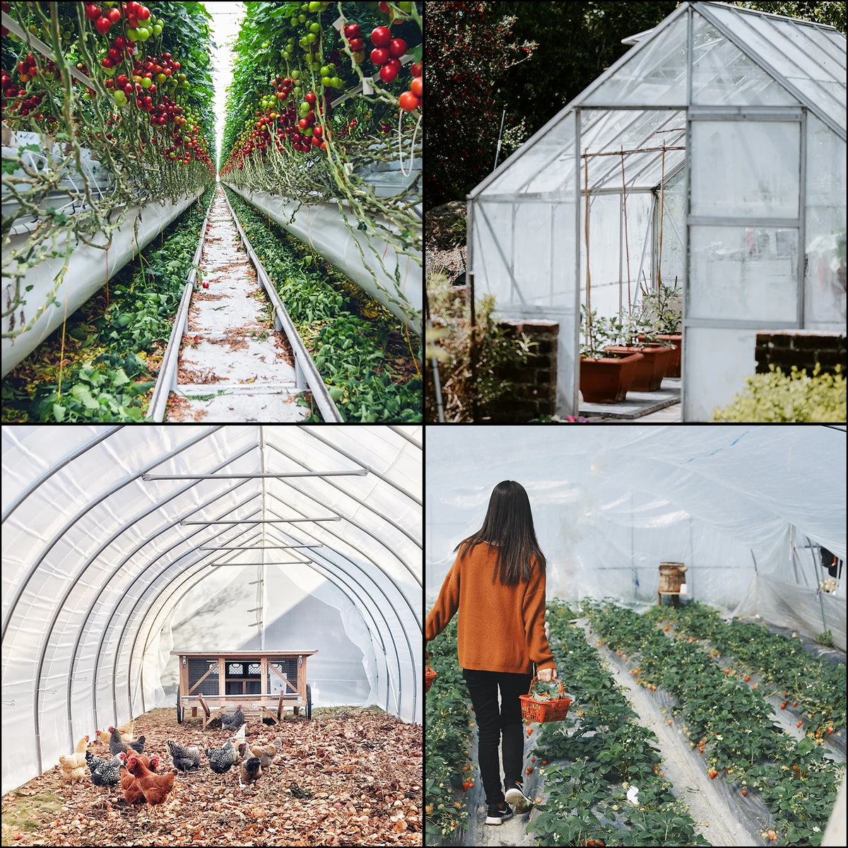 SucceBuy UV Resistant Polyethylene Greenhouse Film Plant Covering