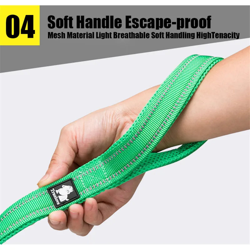 Truelove Reflective Padded Nylon Mesh Pet Leash For Dogs