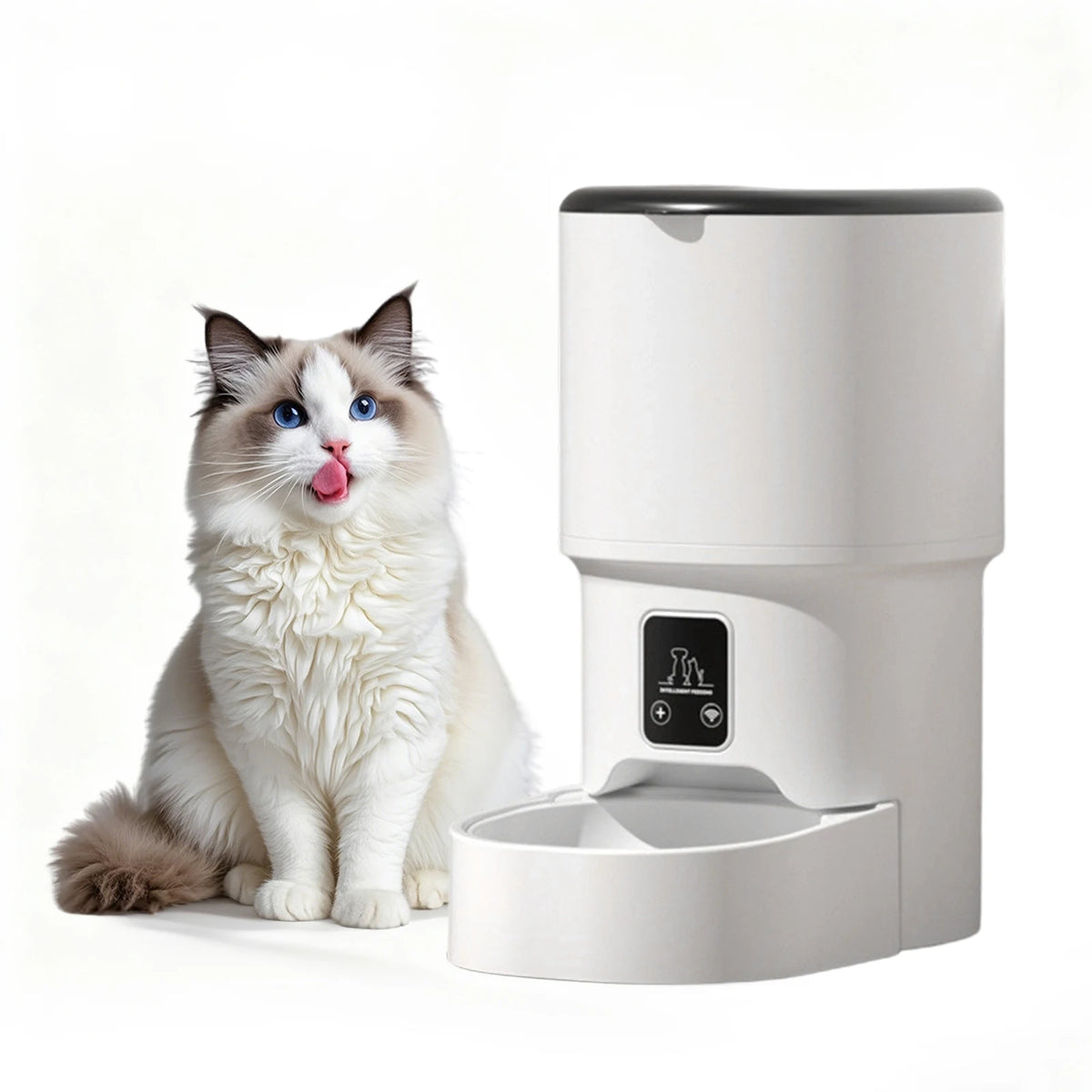 HiMiss Automatic Pet Feeder For Dogs And Cats With Timer