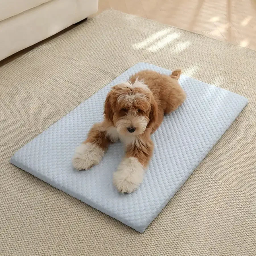 Breathable Cooling Pet Bed With Thick Sponge Padding