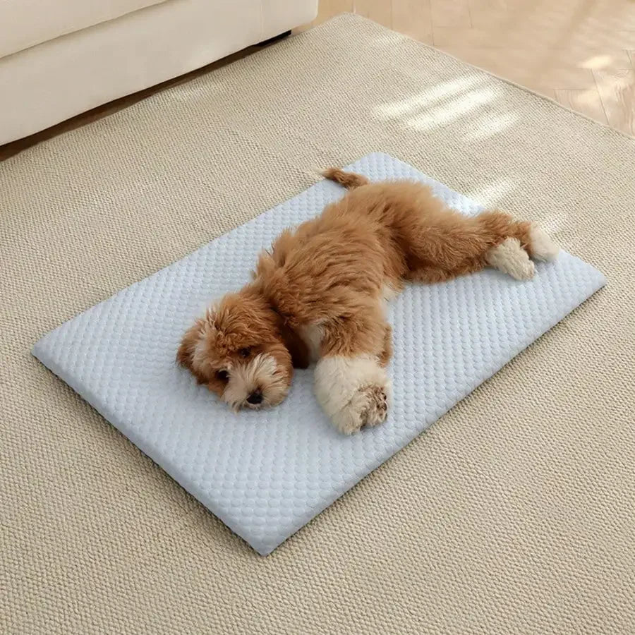 Breathable Cooling Pet Bed With Thick Sponge Padding