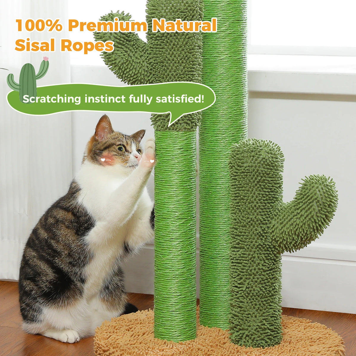 PAWZ Road Indoor Cactus Cat Scratching Post With Sisal Posts
