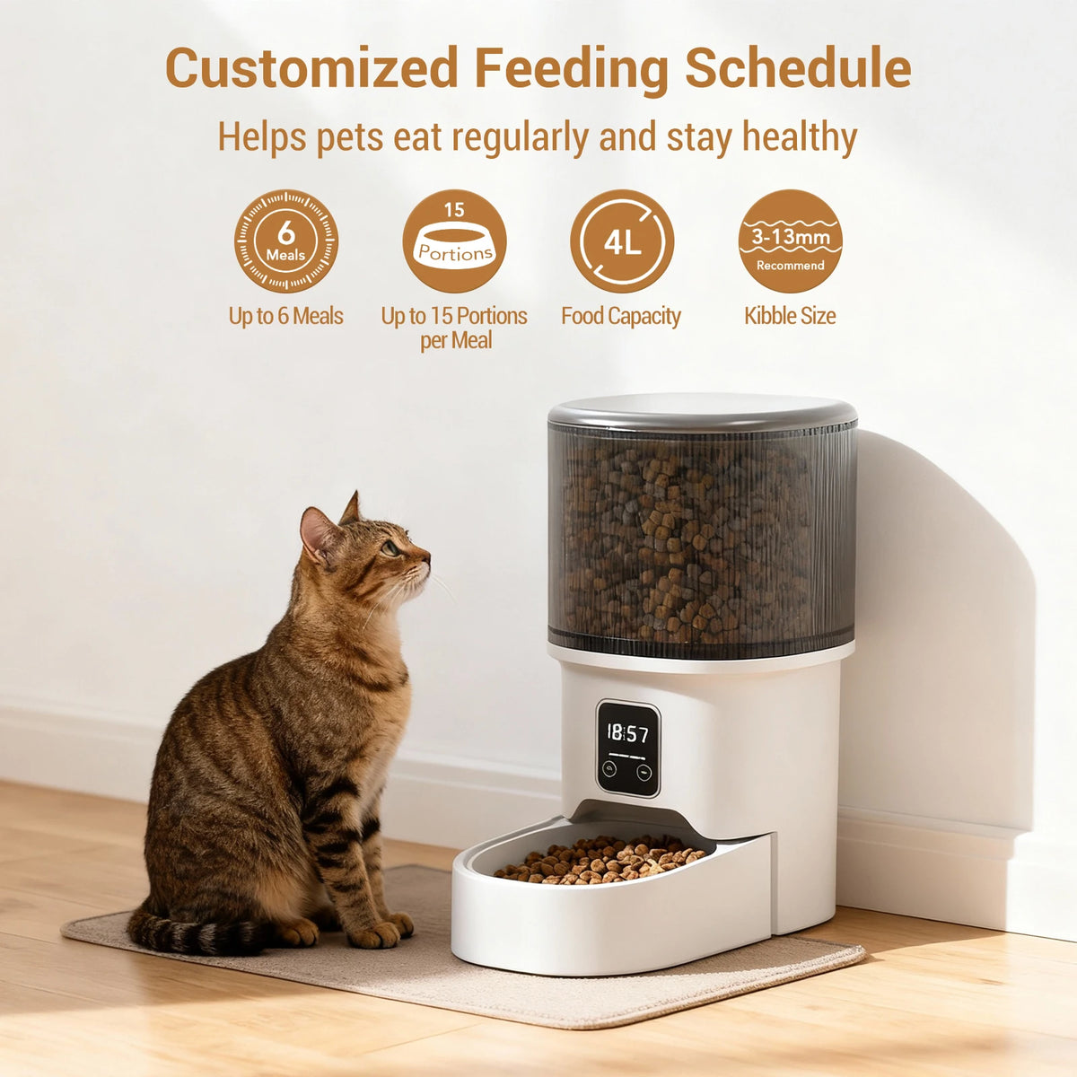 HiMiss Automatic Pet Feeder For Dogs And Cats With Timer