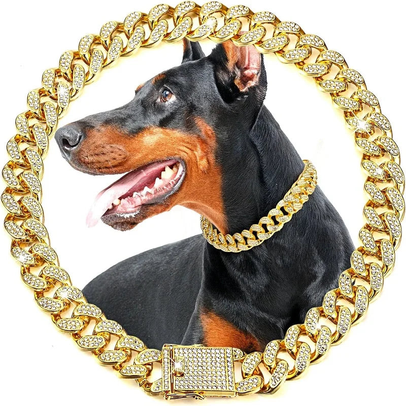 Luxury Stainless Steel Dog Chain Collar With Jeweled Accents