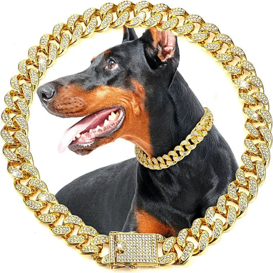 Luxury Stainless Steel Dog Chain Collar With Jeweled Accents