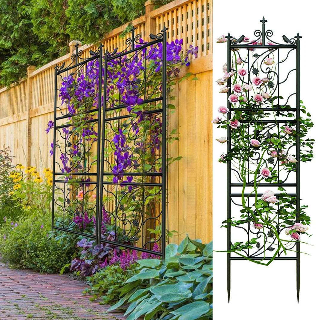 Powder Coated Metal Garden Trellis For Climbing Plants And Vines
