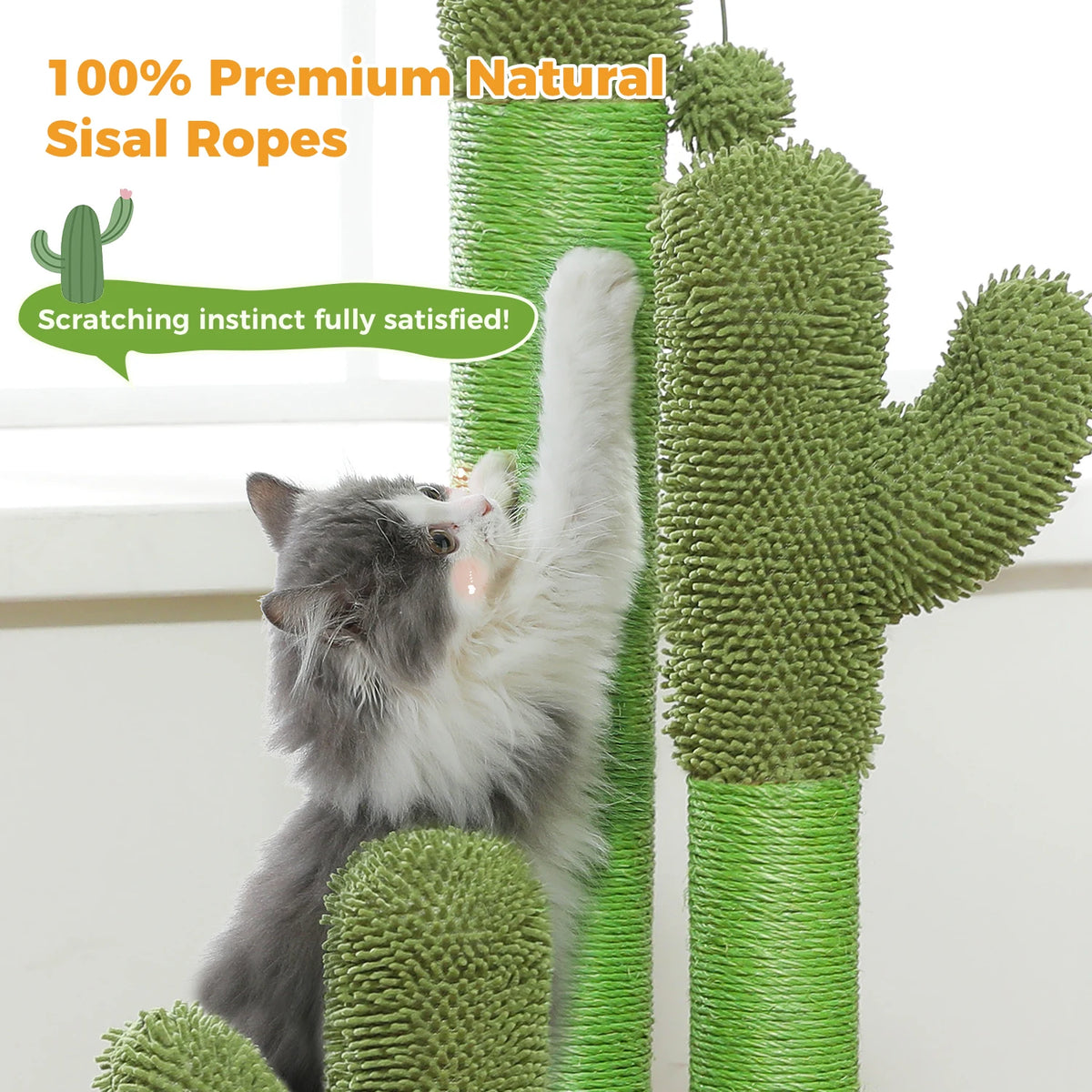 PAWZ Road Indoor Cactus Cat Scratching Post With Sisal Posts